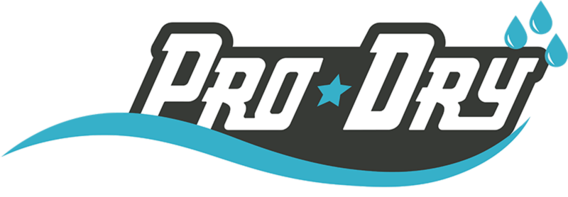 prodry logo